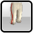 IconHonor Protector's Pants