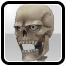 Ikona: Reaper's Skeletal Eye-Skull