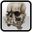 Icon: Reaper's Skeletal Bulldog Skull