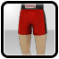 IkonaNational Boxer Shorts